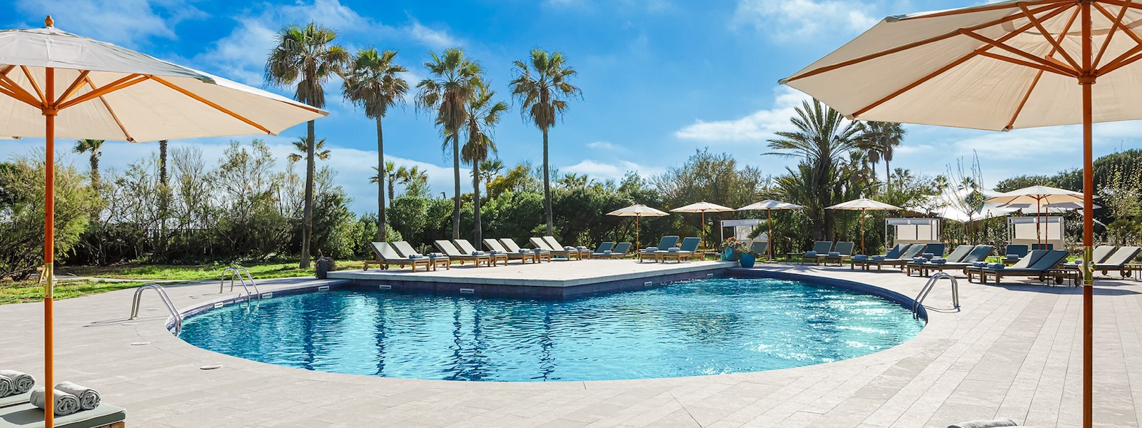 purus w rhoncus rhoncus samopoczucia